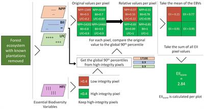 Using essential biodiversity variables to assess forest ecosystem integrity